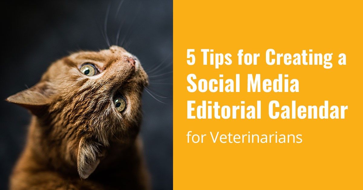 5 Tips for Creating a Social Media Editorial Calendar for Veterinarians