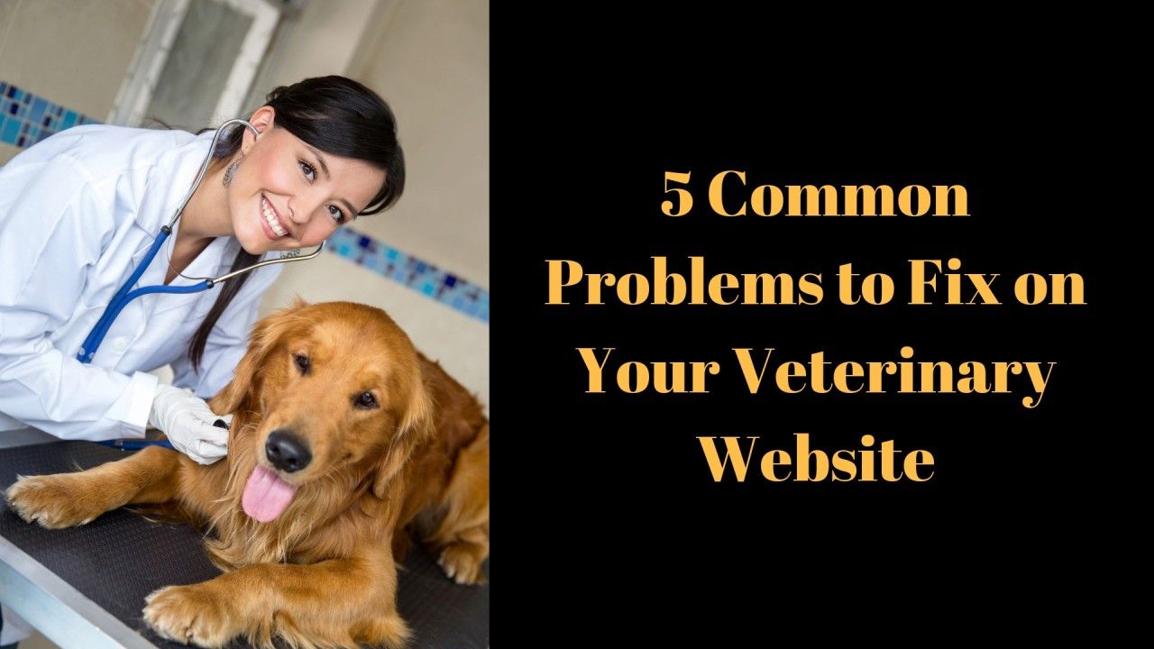 5-Common-Problems-to-Fix-on-Your-Veterinary-Websit_20181003-185114_1