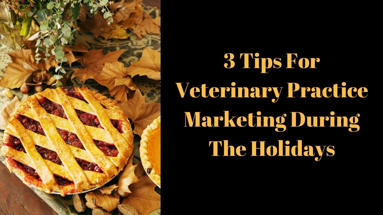 3-Tips-For-Veterinary-Practice-Marketing-During-The-Holidays