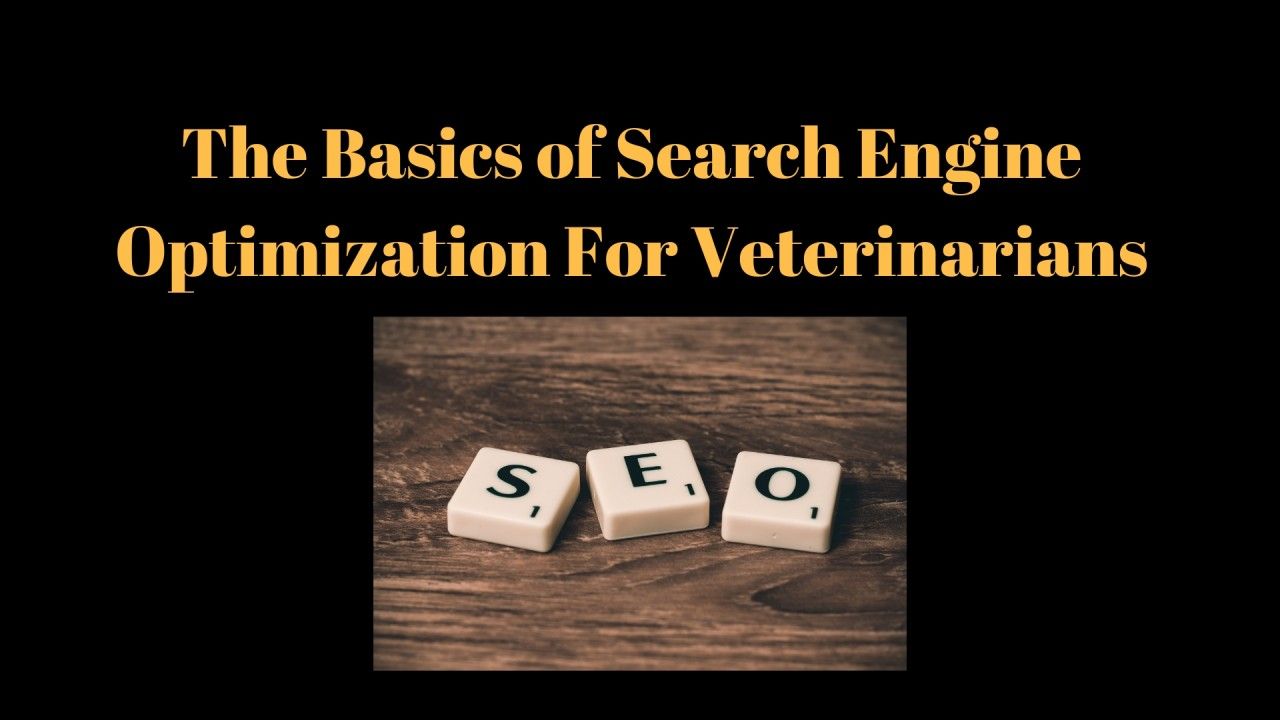The-Basics-of-Search-Engine-Optimization-For-Veterinarians-1