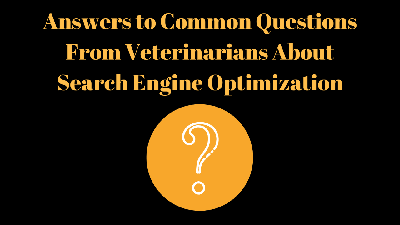 Answers-to-Common-Questions-From-Veterinarians-About-Search-Engine-Optimization-3