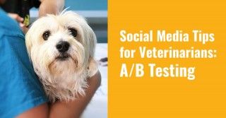 social-media-tips-for-veterinarians