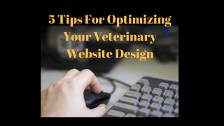 5-Tips-For-Optimizing-Your-Veterinary-Website-Design