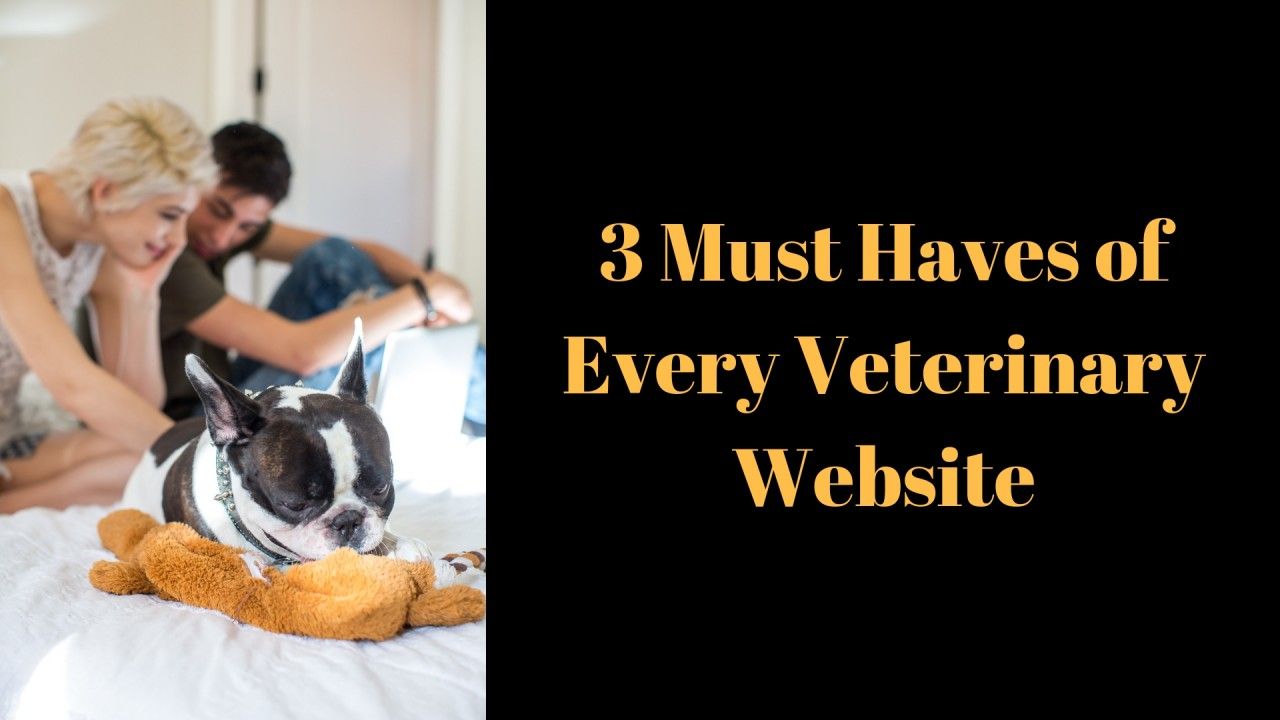 3-Must-Haves-of-Every-Veterinary-Websit_20181003-185424_1