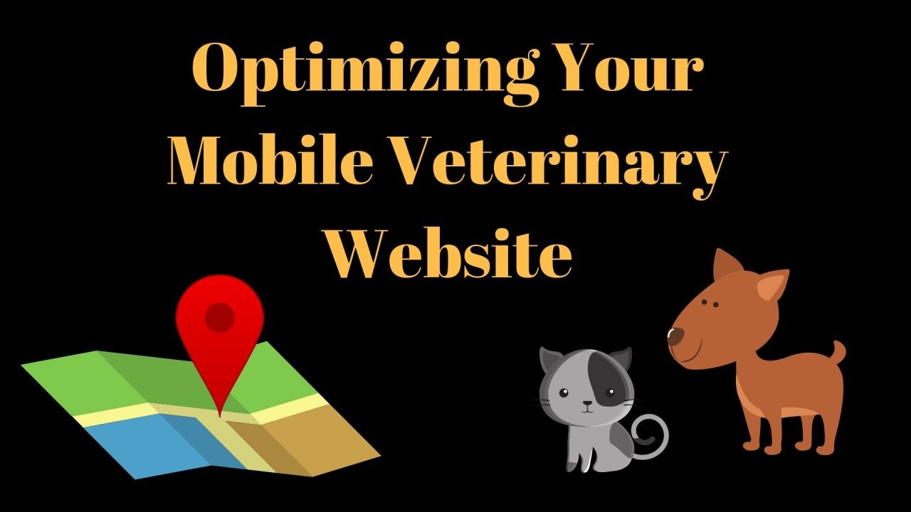 Optimizing-Your-Mobile-Veterinary-Website