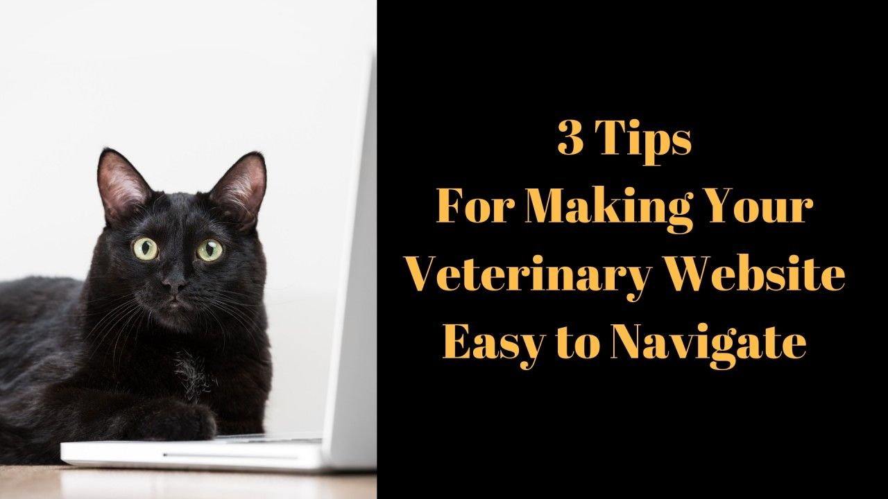 3-Tips-For-Making-Your-Veterinary-Website-Easy-to-Navigate