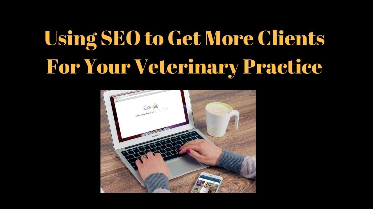 Using-SEO-to-Get-More-Clients-For-Your-Veterinary-Practice