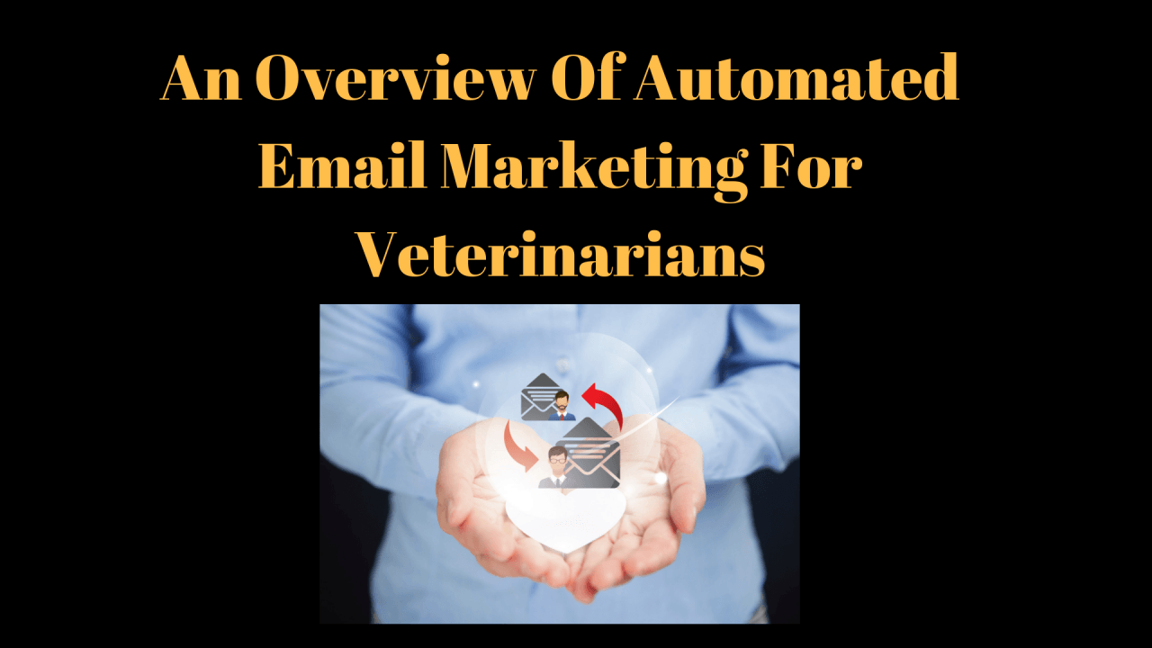 An-Overview-Of-Automated-Email-Marketing-For-Veterinarians