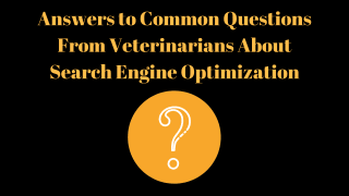 Answers-to-Common-Questions-From-Veterinarians-About-Search-Engine-Optimization-3