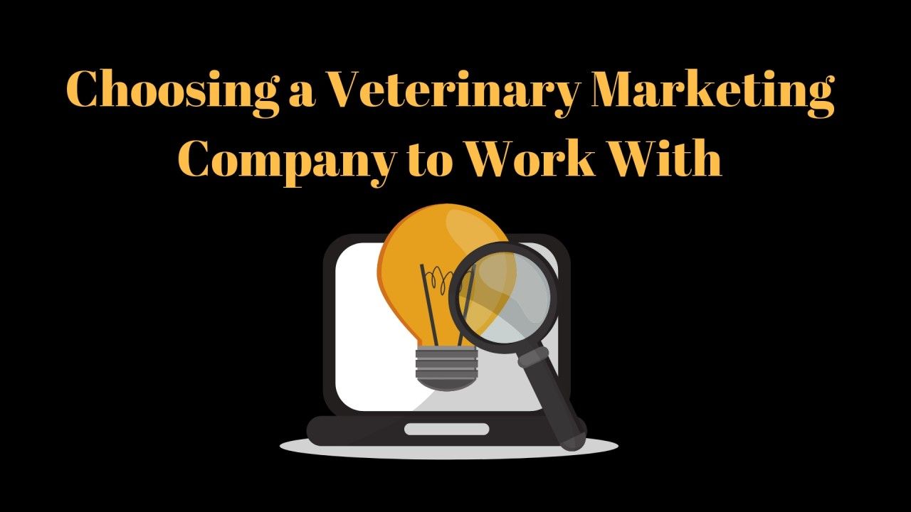 veterinary marketing toolkit