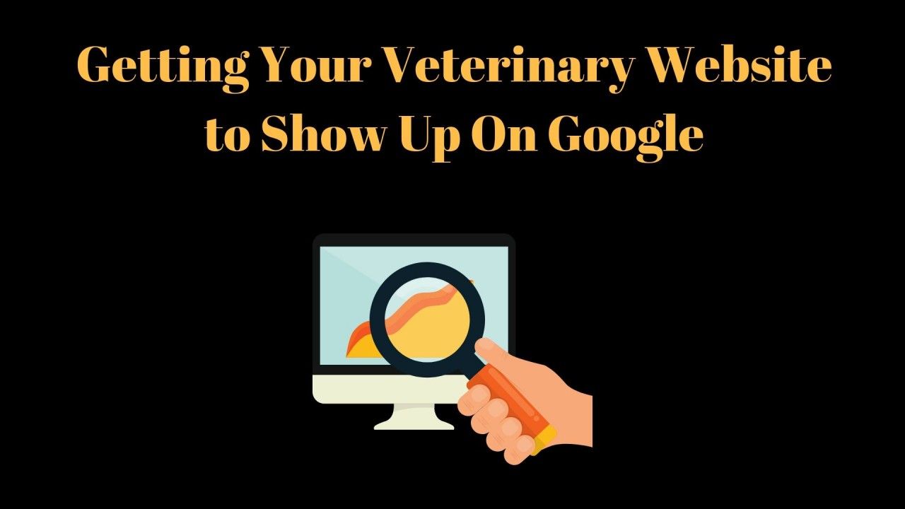 Getting-Your-Veterinary-Website-to-Show-Up-On-Google