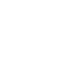 Built-In Organic & Local SEO